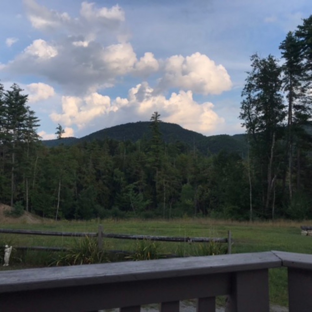 Meet your Posher, Nancy